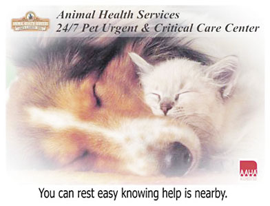 animal health services